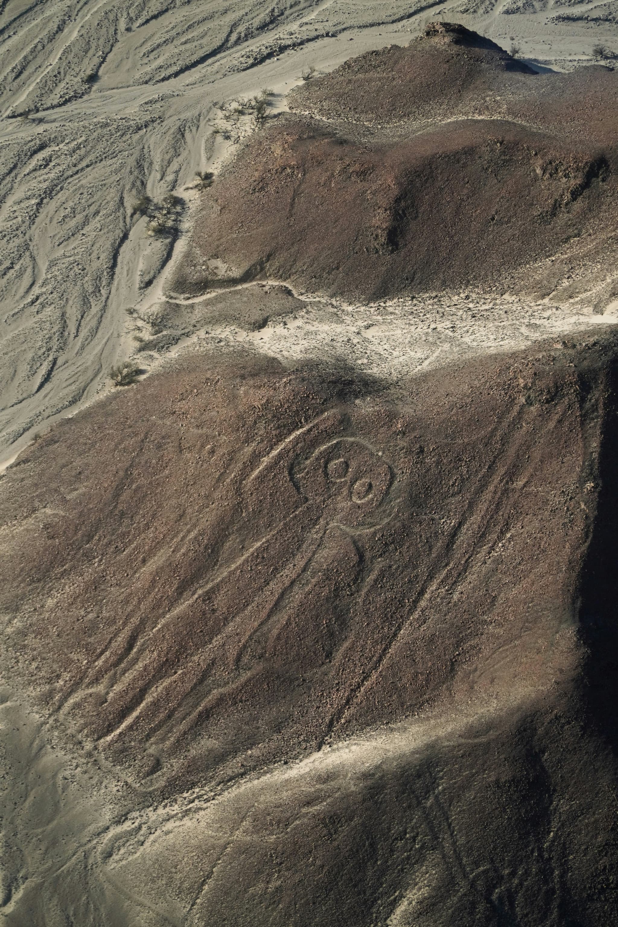 Nazca Lines